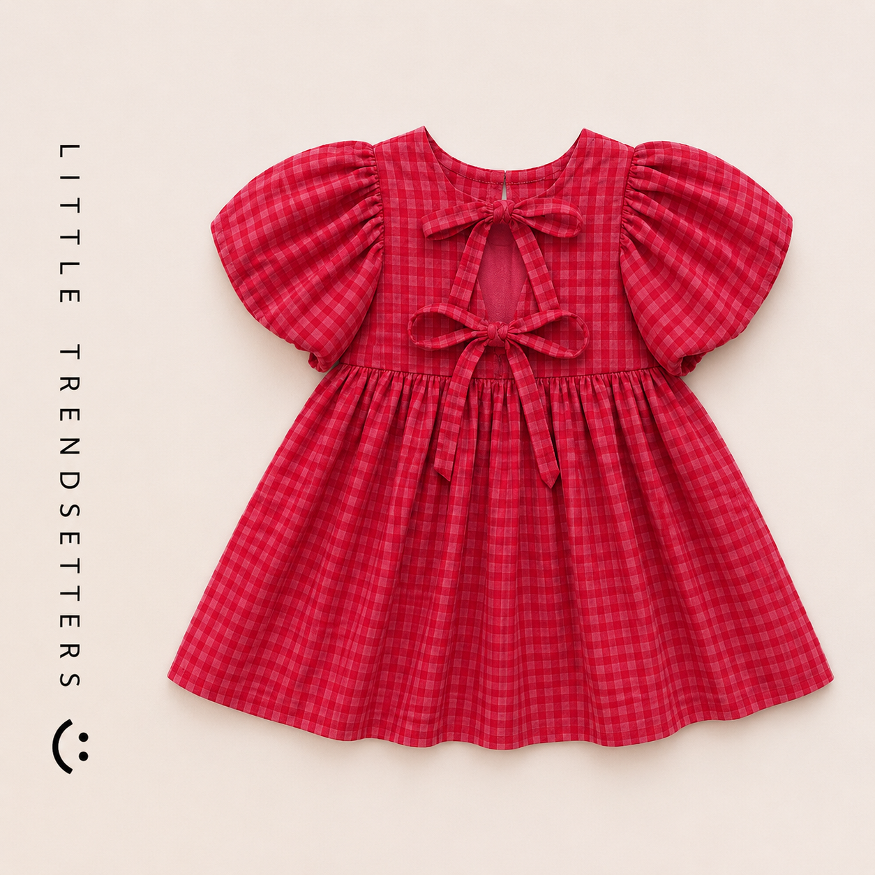 Raspberry Gingham Dress