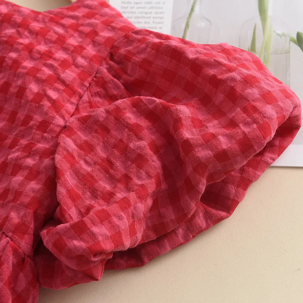 Raspberry Gingham Dress
