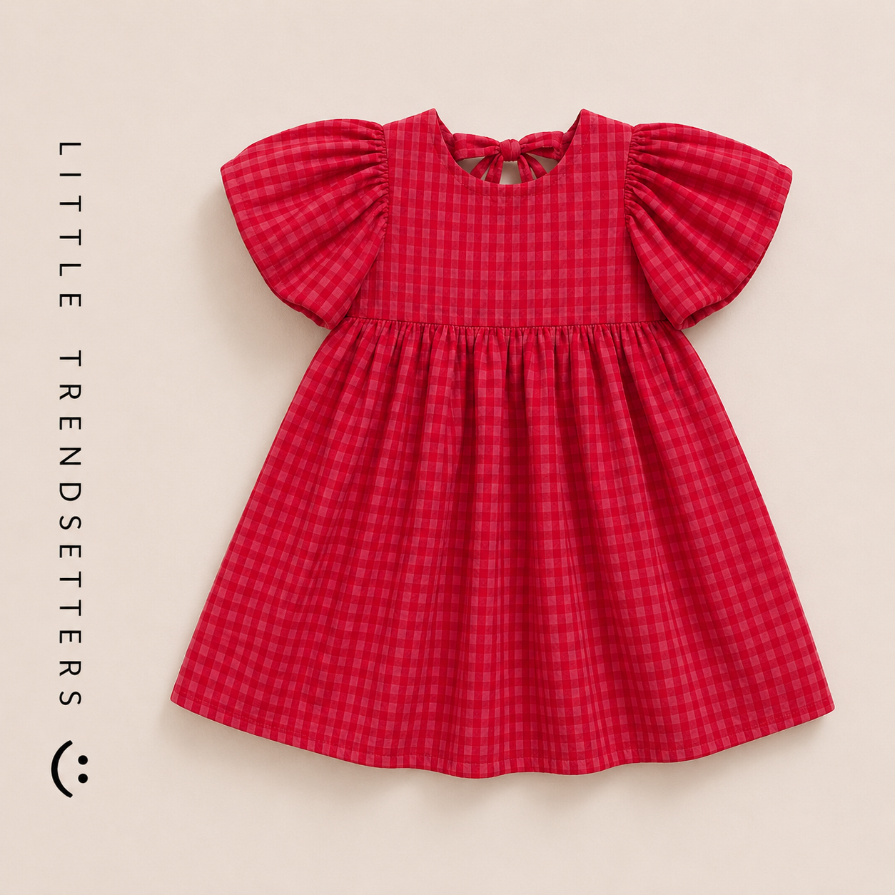 Raspberry Gingham Dress